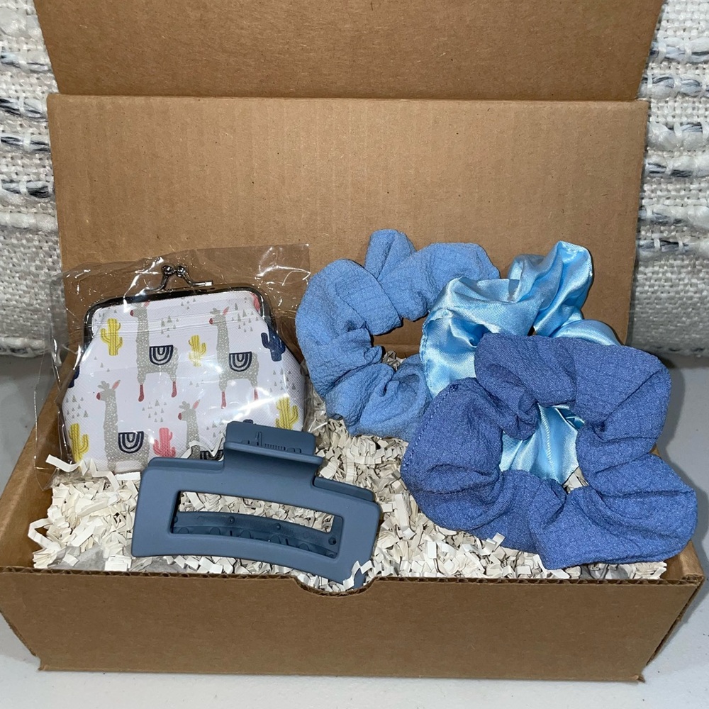 Llama coin Purse and Blue Hair Accessories Set